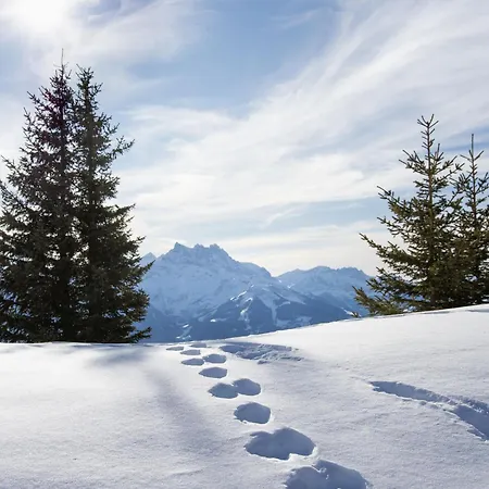 Grand-pont 15 By Interhome Apartament Villars-sur-Ollon