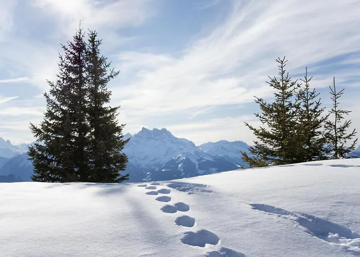 Grand-pont 15 By Interhome Lägenhet Villars-sur-Ollon